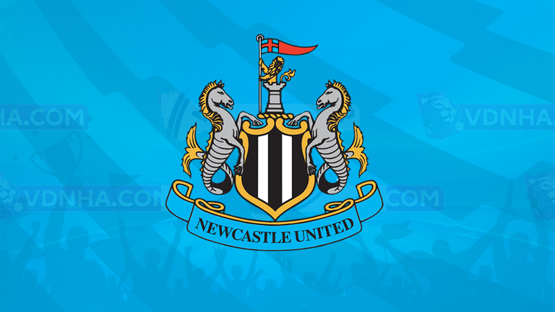 câu lạc bộ bóng đá Newcastle united