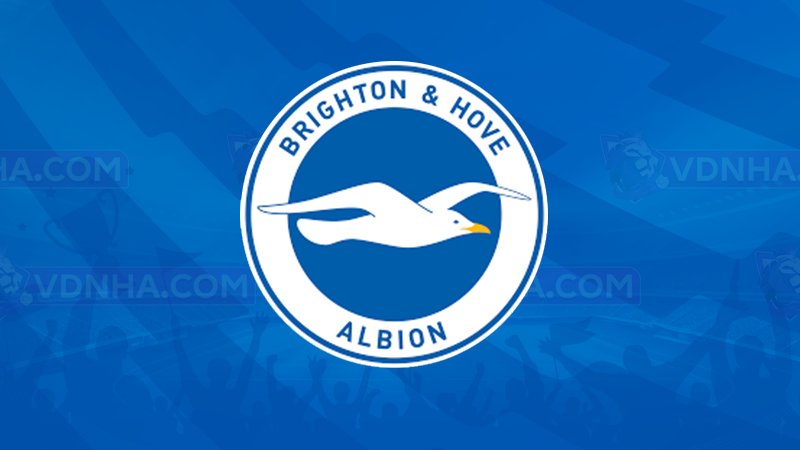 Câu lạc bộ bóng đá Brighton & Hove Albion